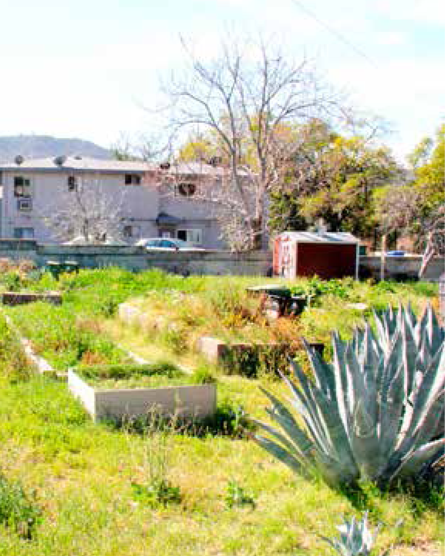 Community Gardens before revitalization