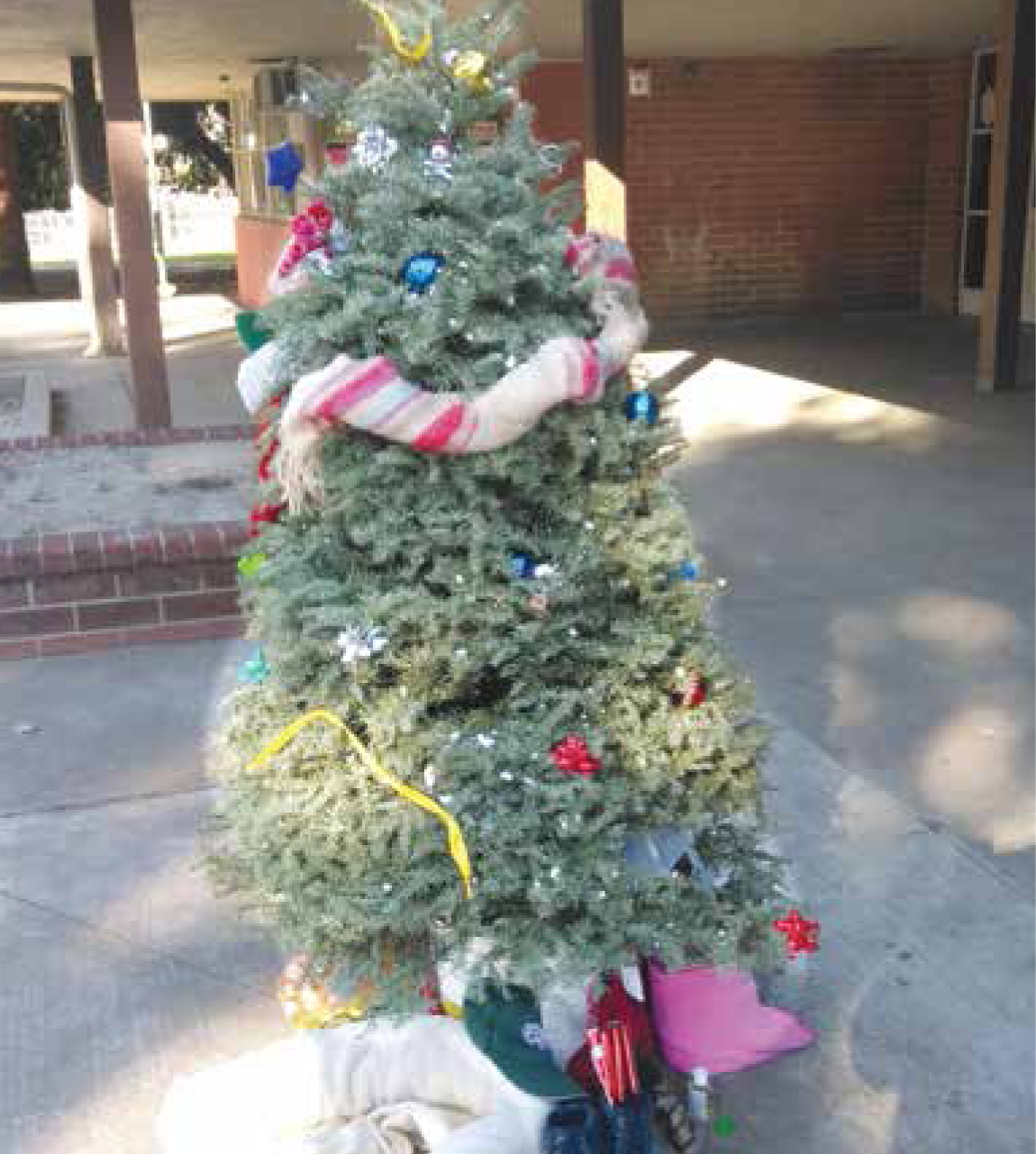 The Christmas tree was decked with gifts for all those who had no families.
